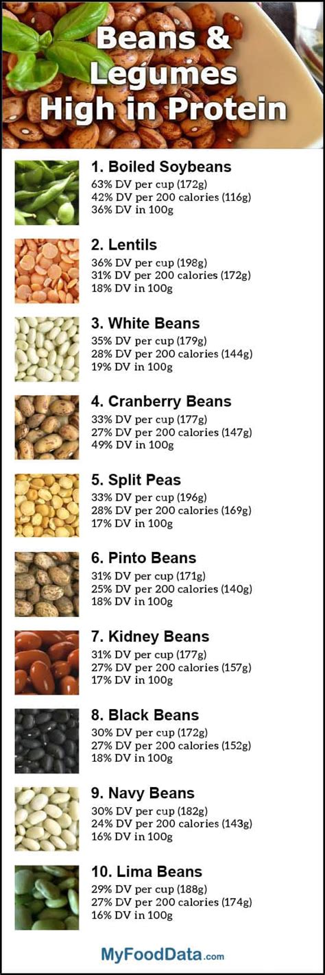 10 High Protein Beans to Include In Your Diet