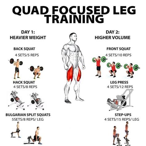 12 Quad Exercises for Your Next Quad-Focused Leg Day