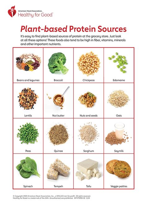 8 Healthy Sources of Protei