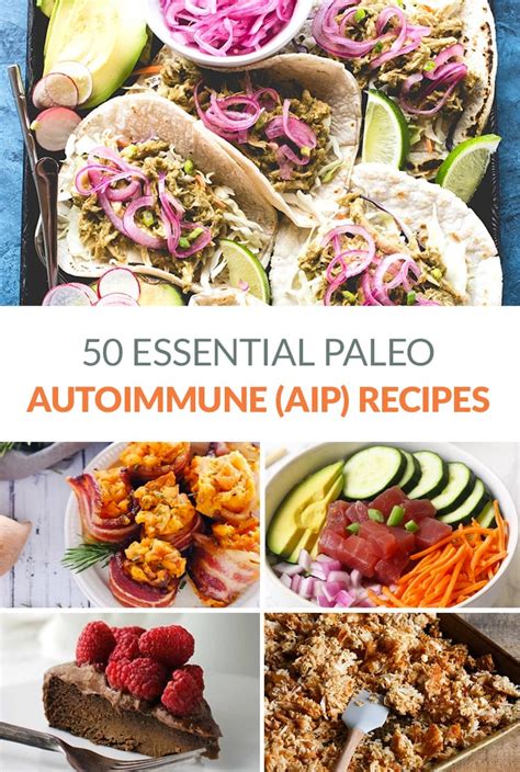 AIP Recipes Autoimmune Paleo Discover Delicious and Healing Meals
