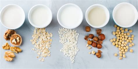 An Overview of the Healthiest Milks