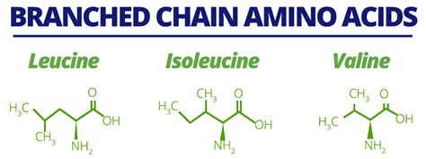 Are Branched-Chain Amino Acids Good for Us?