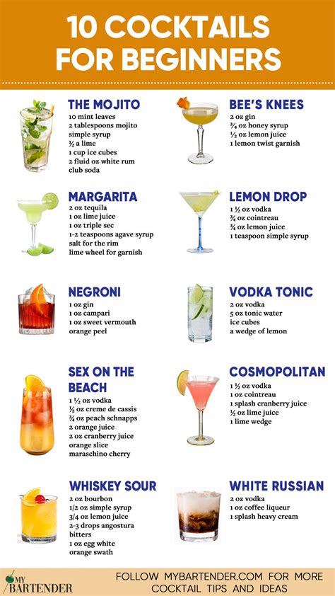 Are the cocktail recipes easy to follow?