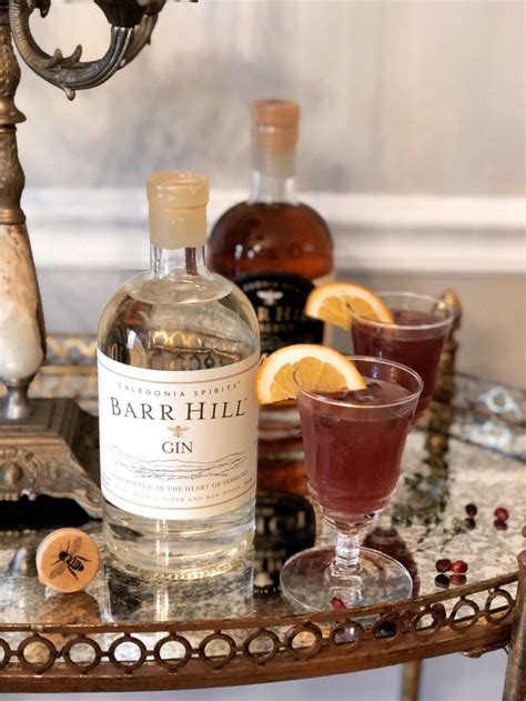 Delicious Barr Hill Gin Recipes to Elevate Your Cocktail Game