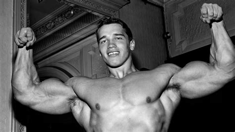 Build Muscle Like Schwarzenegger