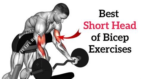 Build Thicker Biceps with These Short Head Biceps Exercises