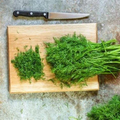 Can I use Knorr Dill-Krauter as a substitute for fresh dill?