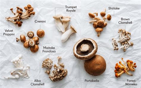 Can I use different types of mushrooms for this recipe?