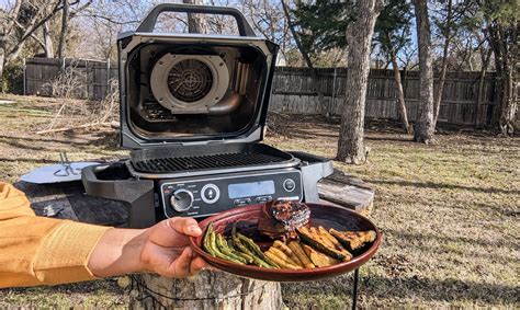 Can you give any tips for grilling fruits on a Ninja outdoor grill?