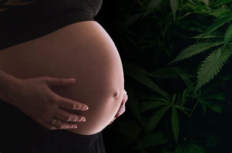 Cannabis on Fertility and Pregnancy