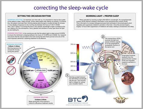 Circadian Rhythms and Our Health and Weight