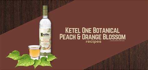 Delicious Ketel One Botanical Peach Orange Blossom Recipes