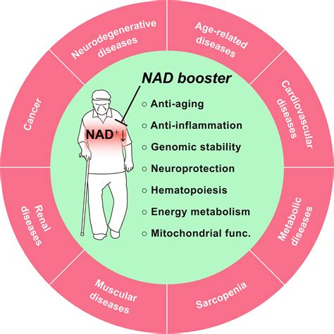 Does NAD+ Affect Age-Related Diseases?