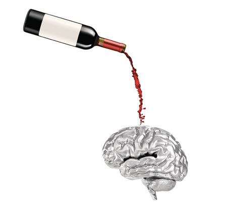 Even Moderate Drinking is Associated with Changes in Brain Volume