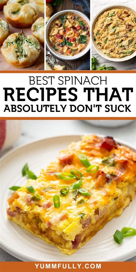 55 Delicious Spinach Recipes to Keep You Healthy and Satisfied