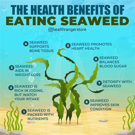 Health Benefits of Eating Seaweed