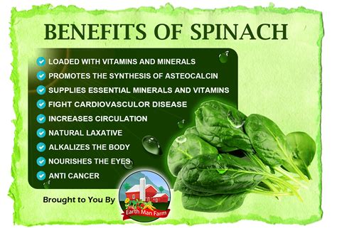 Healthy Benefits of Spinach