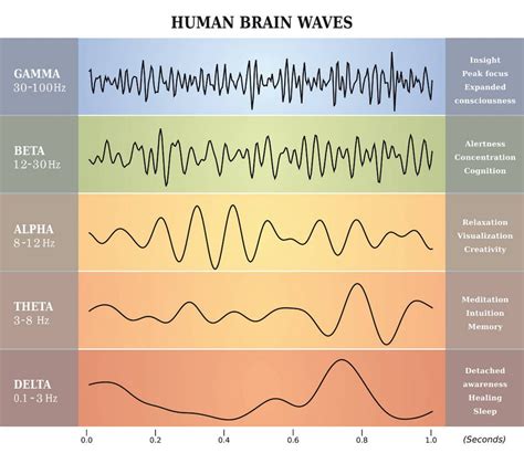 How Brainwaves During Sleep Influence Glucose Regulation in the Body