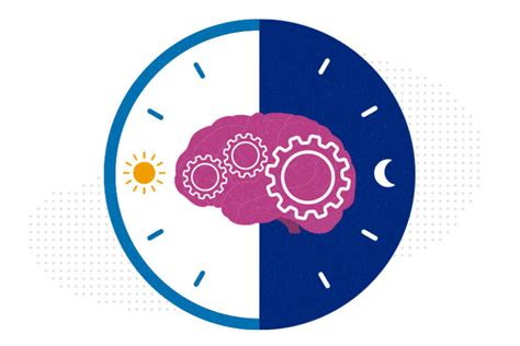 How Circadian Rhythms Influence Our Brains & Cognitive Behavior