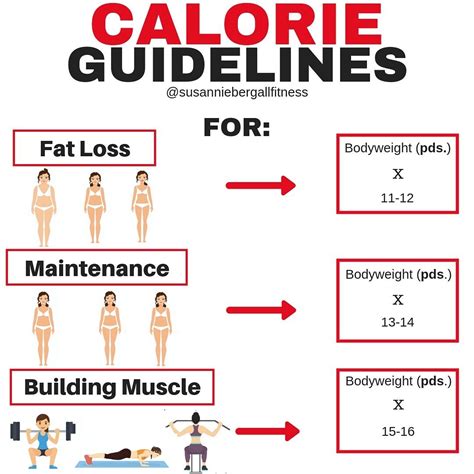 How Many Calories Should You Eat to Maintain Weight?