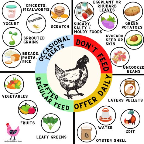 How does 1/4 Chicken fit into your Daily Goals - calories, carbs, nutrition