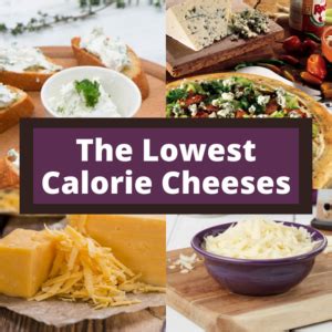 How does 100 Calorie Cheese Bites fit into your Daily Goals - calories, carbs, nutrition