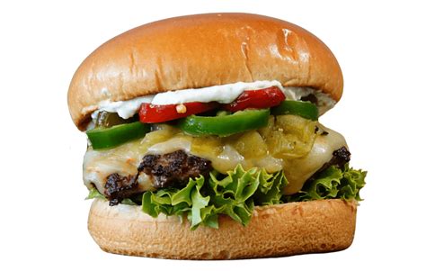 How does 325 oz Fresh Pressed Hamburger fit into your Daily Goals - calories, carbs, nutrition