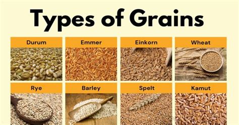 How does 7 Grain Wheat Bread fit into your Daily Goals - calories, carbs, nutrition