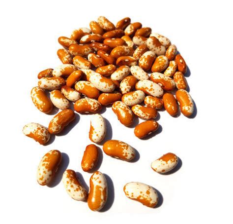 How does Appaloosa Beans & Rice fit into your Daily Goals - calories, carbs, nutrition