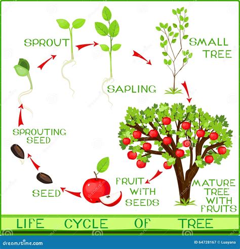 How does Apple & Mincemeat Jalousie fit into your Daily Goals - calories, carbs, nutrition