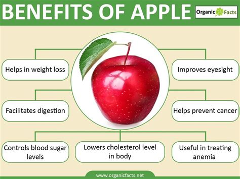 How does Apple Bites fit into your Daily Goals - calories, carbs, nutrition