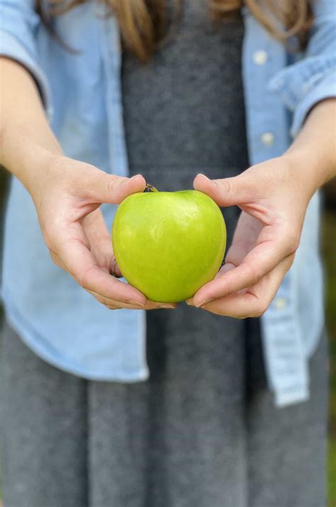 How does Apple Granny Smith fit into your Daily Goals - calories, carbs, nutrition