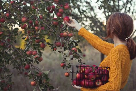 How does Apples & Cranberries Instant Oatmeal fit into your Daily Goals - calories, carbs, nutrition