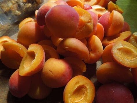 How does Apricot Conserve fit into your Daily Goals - calories, carbs, nutrition