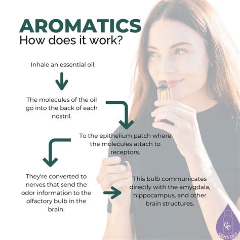 How does Aromatic Lemon & Basil Sauce fit into your Daily Goals - calories, carbs, nutrition