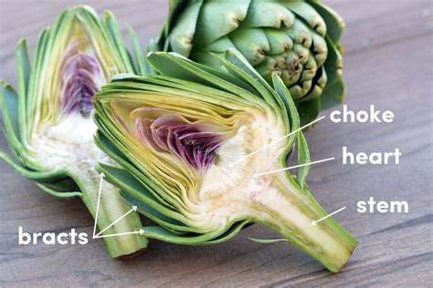 How does Artichoke Hearts (65273.0) fit into your Daily Goals - calories, carbs, nutrition