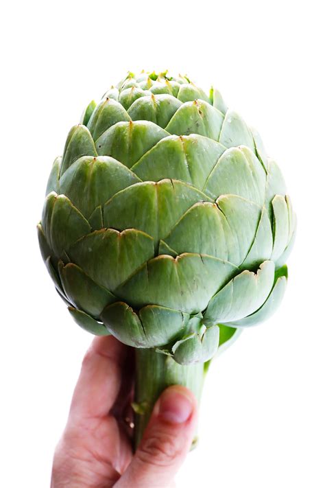 How does Artichokes, Fresh fit into your Daily Goals - calories, carbs, nutrition