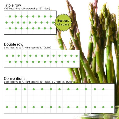 How does Asparagus Parmesan 1 oz fit into your Daily Goals - calories, carbs, nutrition