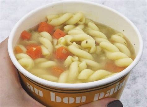 How does Au Bon Pain Chicken Noodle (3501.0) fit into your Daily Goals - calories, carbs, nutrition