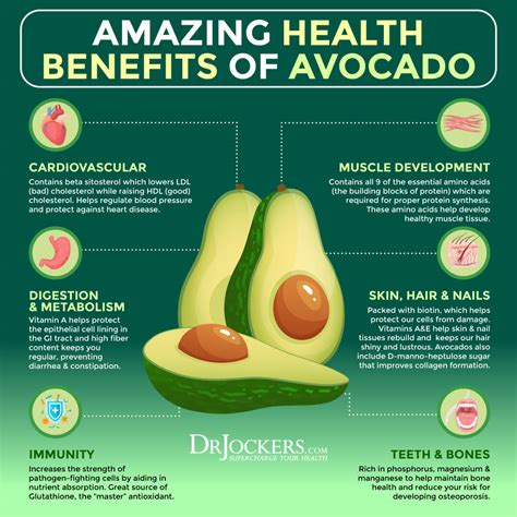 How does Avacado fit into your Daily Goals - calories, carbs, nutrition