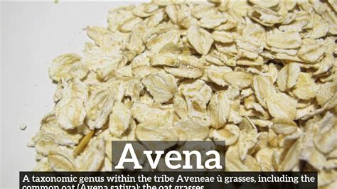 How does Avena fit into your Daily Goals - calories, carbs, nutrition