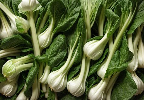 How does Baby Bok Choy (41550.5) fit into your Daily Goals - calories, carbs, nutrition