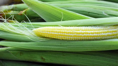 How does Baby Corn (13404.7) fit into your Daily Goals - calories, carbs, nutrition