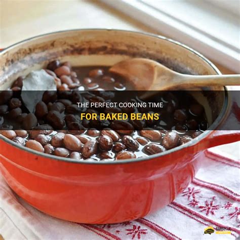 How does Baked Beans fit into your Daily Goals - calories, carbs, nutrition