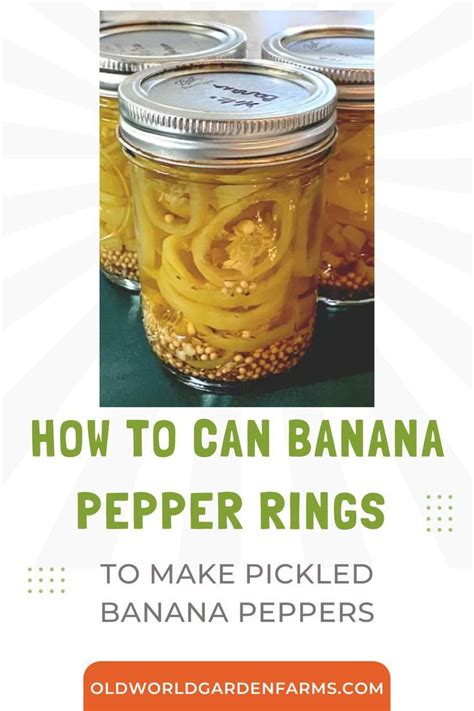 How does Banana Pepper Rings (46017.25) fit into your Daily Goals - calories, carbs, nutrition