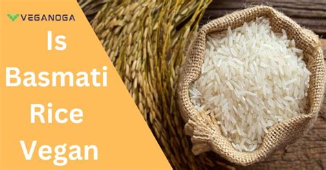 How does Basmati Rice - vegan fit into your Daily Goals - calories, carbs, nutrition