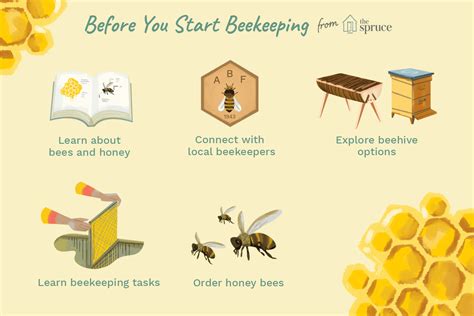 How does Bee Honey fit into your Daily Goals - calories, carbs, nutrition