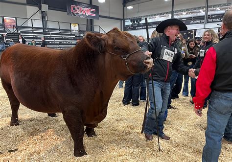 How does Beef Supreme fit into your Daily Goals - calories, carbs, nutrition