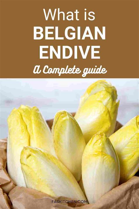 How does Belgian Endive Chiffonade 1 oz fit into your Daily Goals - calories, carbs, nutrition