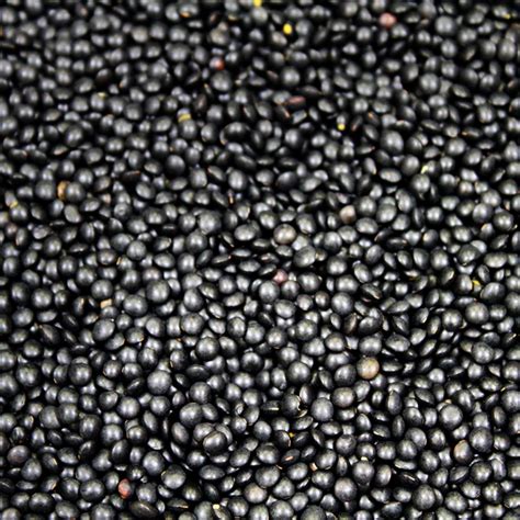 How does Black Beluga Lentils (12726.7) fit into your Daily Goals - calories, carbs, nutrition